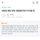 주식회사 힐케어 | 항암 회복기 치료 끝나고도 힐오가 필요한 이유, 힐오가 만든 회복 루틴