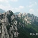 아시아모터스 주식회사