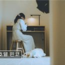호텔핀코 | 제주 애견동반 숙소 호텔 핀코 청결과 조용함에 만족한 후기