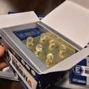 다원플러스 이미지