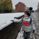 스텔라(Stella) | 여름 소비 기록 /스텔라 매카트니 키즈 패딩 8y 후기 /Stella McCartney