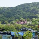 예곡교 간이화장실 이미지