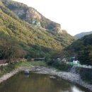 내장산약국 이미지