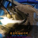 장전낚시터 이미지