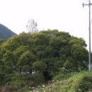 평사리주유소 이미지