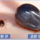 피등목장 이미지
