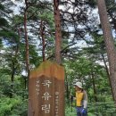 국립대관령자연휴양림 이미지