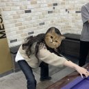 원투쓰리 당구장 네이버블로그