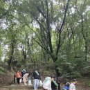 새마을로 이미지