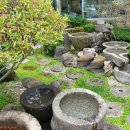 제주본가(本家) 이미지