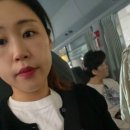 마이딩고 | 블루마운틴 투어 페더데일 동물원 마이리얼트립 투어 내돈내산 후기(1탄) 쿼카부터 알비노 왈라비까지!