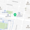 꽃보다개냥 이미지