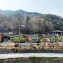 디딤돌펜션 네이버블로그