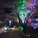 수안보관광펜션 이미지