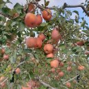 우천정미소 이미지