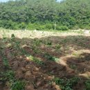 룩스글램핑앤팜 안동펜션 이미지