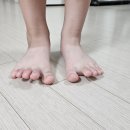 메타 태권도장 이미지