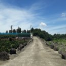 강정동-11 이미지