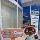 주)에이블비즈 | 코엑스 아쿠아리움 동물의숲 콜라보 평일 웨이팅 및 관람 후기