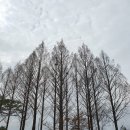 (유)지음 이미지