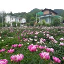 가평독채펜션힐링하우스 이미지