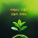 제철음식 10가지 이미지