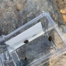 그린오토카 이미지