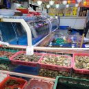 해피트리 고사포점 이미지