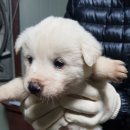 소사2길 이미지