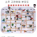 원조경