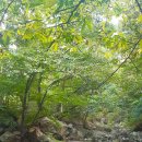 상원골민박 이미지