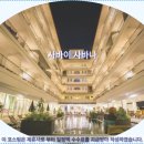 사바이 | 파타야 사바이 사바나 호텔 추천! 솔직 후기 &amp; 여행 꿀팁