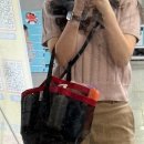 수린약국 | 2025 9월 2주차 | 조팝 존버