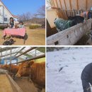 백동목장 이미지