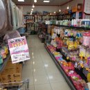 헬로펫 여수 이미지