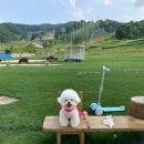 문종합동물병원 이미지