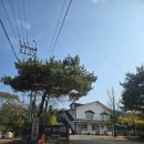 은대리 쉼나루 이미지