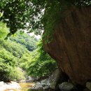 중원-116 이미지