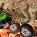 또래 어린이집 이미지