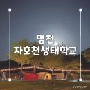 4 | 아이랑 가면 무조건 성공하는 캠핑장｜자호천생태학교 데크4 후기