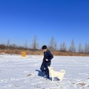 BG독케어센터 이미지