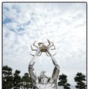 국립영덕청소년해양환경체험관 이미지