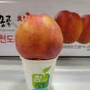 하홍2