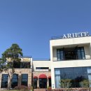 카페브런치 이미지