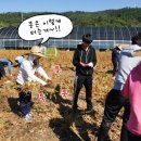 불곡고등학교 이미지