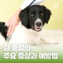 해오름동물병원 - 성남시 중원구 희망로 402 | 해오름동물병원