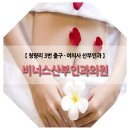 비너스산부인과 이미지