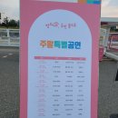 청운초교 정문 앞 | 청와대 국민품으로 개방 예약 관람신청 솔직한 관람후기 (본관 관저 영빈관)