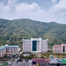 소노문비발디파크 네이버블로그