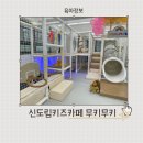 무인62 | 무키무키 신도림 무인 키즈카페 다녀온 후기 구로 조동모임 생일파티